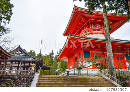 雨の高野山　壇上伽藍・根本大塔 107922507