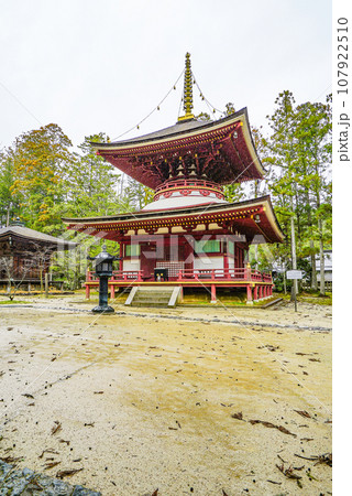 雨雨の高野山　壇上伽藍・東塔 107922510