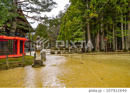 雨の高野山　壇上伽藍 107922640