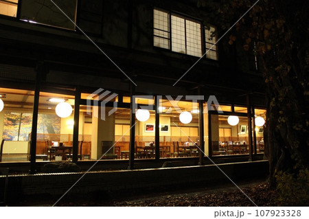 蔦温泉の夜の外観 107923328