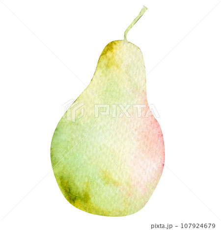 Watercolor illustration of pear. Hand drawn pear 107924679
