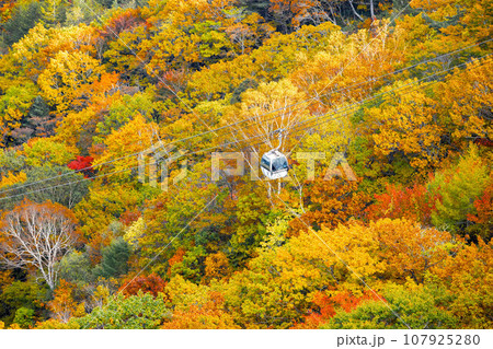 紅葉の中を行く 紅葉の中を行く 107925280