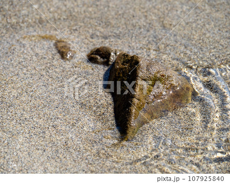 透明で美しい海の穏やかな波打ち際のアップ。 107925840