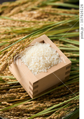 枡に盛ったお米 107926126