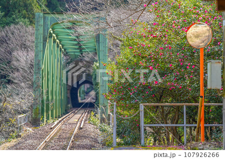 樽見鉄道 107926266