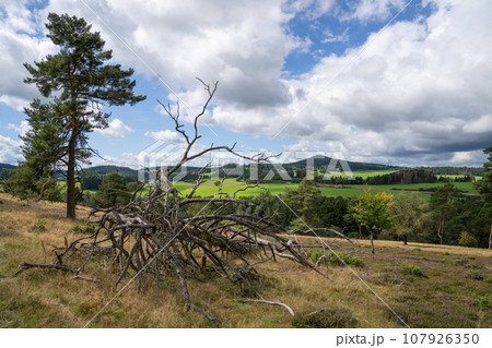 Vulkan Eifel, Rhineland-Palatinate, Germany 107926350