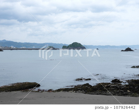 太海海岸散策 107926442