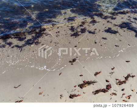 海藻が大量に漂着している砂浜の波打ち際。 107926489
