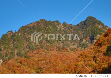 【山梨百名山】西沢渓谷から眺めた鶏冠山 107926954