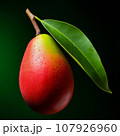 Whole mango with leaf isolated on a dark background. Fresh mango tropical fruit. 107926960