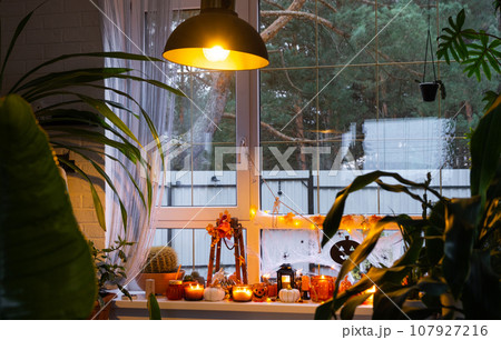 Festive decor of the house on the windowsill for Halloween in interior with homemade potted plants- pumpkins, Jack o lanterns, skulls, skeletons, candles and garland - cozy and terrible mood Festive decor of the house on the windowsill for Halloween in interior with homemade potted plants- pumpkins, Jack o lanterns, skulls, skeletons, candles and garland - cozy and terrible mood 107927216