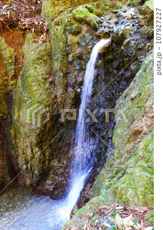 ゆずの里毛呂山町の観光名所となっている獅子ヶ滝の俯瞰風景 107927227
