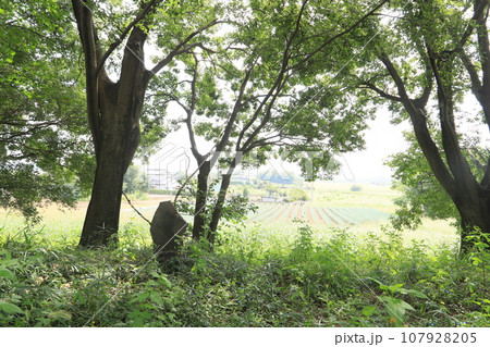 荒砥富士山古墳 （墳頂） 107928205