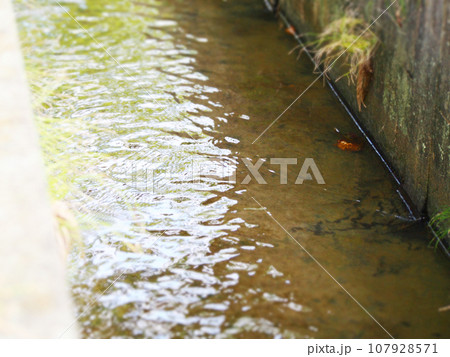 農業用の水路　自然風景 107928571