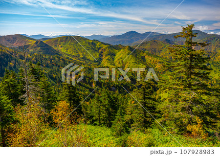 志賀高原 横手山 紅葉 志賀高原 横手山 紅葉 107928983
