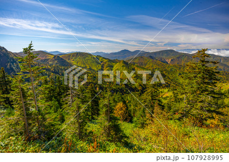 志賀高原 横手山 紅葉 志賀高原 横手山 紅葉 107928995