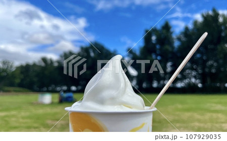 八紘学園のソフトクリーム 北海道札幌市 八紘学園のソフトクリーム 北海道札幌市 107929035