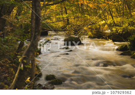 十和田湖の紅葉 十和田湖の紅葉 107929362