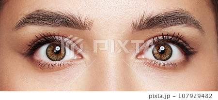 Beautiful female eyes with long eyelashes Beautiful female eyes with long eyelashes 107929482