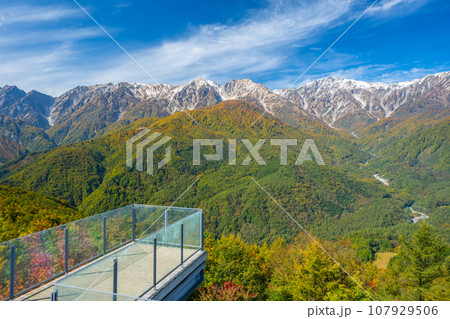 三段紅葉の白馬　雪と紅葉と木々の緑の貴重な絶景　 107929506