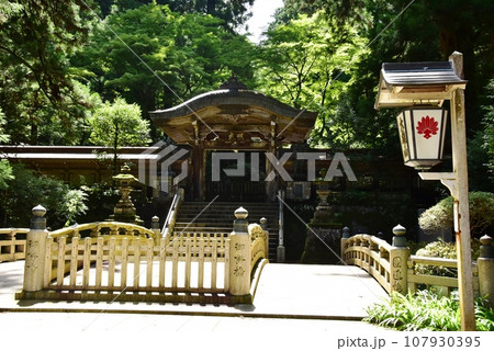 南足柄市 大雄山最乗寺境内の結界門と御供橋 南足柄市 大雄山最乗寺境内の結界門と御供橋 107930395