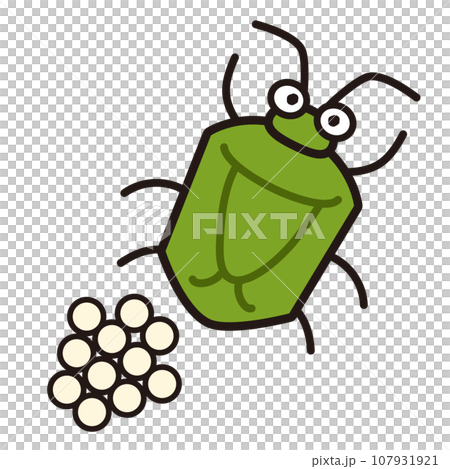 Illustration of stink bug and eggs Illustration of stink bug and eggs 107931921