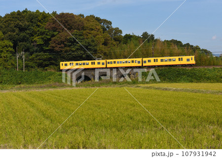 めがね橋を行く黄色い電車 107931942