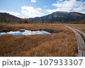 晩秋　尾瀬ヶ原 107933307