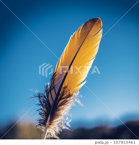 Yellow feather of a bird hangs in the air against a background of blue sky close up, unusual composition, natural background Yellow feather of a bird hangs in the air against a background of blue sky close up, unusual composition, natural background 107933461