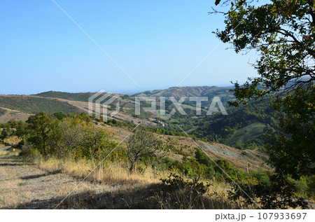 Hills of the Emilian Apennines 107933697