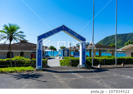 霧島錦江湾国立公園 佐多岬海域公園(佐多岬海中公園)の風景 霧島錦江湾国立公園 佐多岬海域公園(佐多岬海中公園)の風景 107934522