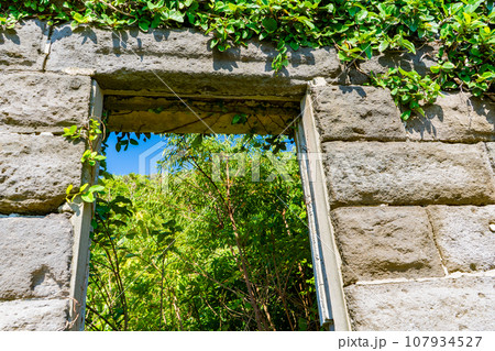 佐多岬灯台守の官舎跡地の風景 107934527