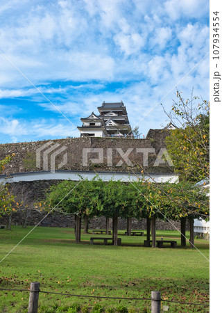 大洲城 大洲城 107934554