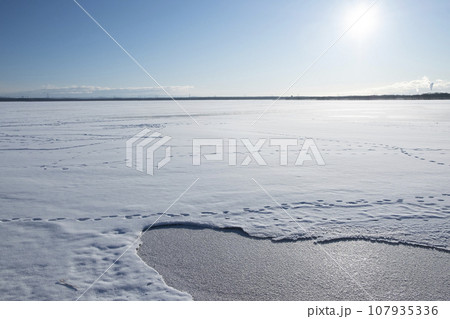 凍結した冬のウトナイ湖風景 凍結した冬のウトナイ湖風景 107935336