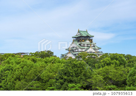 初秋の青空に映える大阪城天守閣 107935613