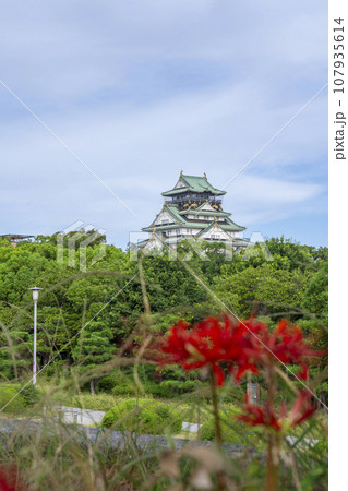 大阪城天守閣と彼岸花 107935614