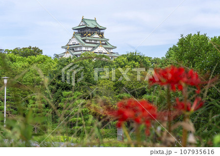 大阪城天守閣と彼岸花 大阪城天守閣と彼岸花 107935616