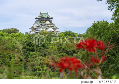 大阪城天守閣と彼岸花 大阪城天守閣と彼岸花 107935617