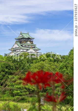 大阪城天守閣と彼岸花 大阪城天守閣と彼岸花 107935627
