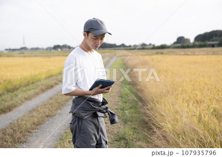 黄金色の稲穂とタブレットで管理する米農家の男性 黄金色の稲穂とタブレットで管理する米農家の男性 107935796