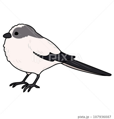 シンプルで可愛いエナガの手描きのイラスト　主線あり 107936087