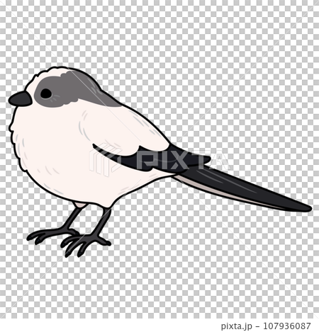 簡單可愛的手繪插圖，帶有主線的長尾山雀 107936087