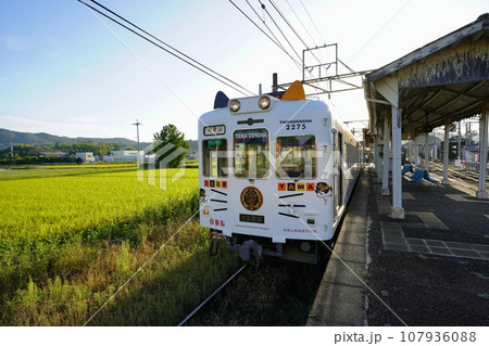 駅のホームに停まっているたま電車 107936088
