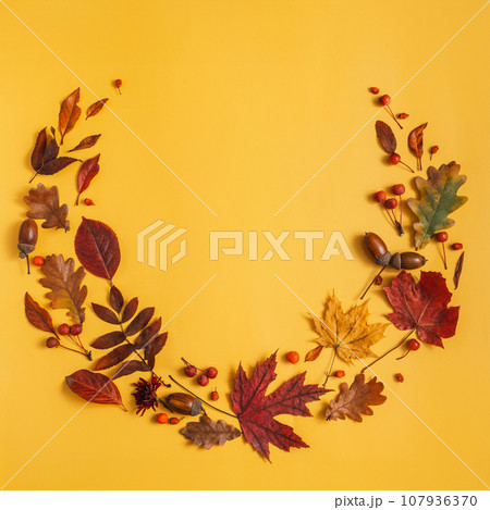 Dry leaves with berries and acorns lie in a circle on a yellow background Dry leaves with berries and acorns lie in a circle on a yellow background 107936370