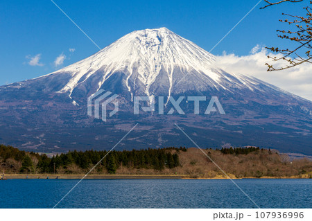 静岡県富士宮市佐折　田貫湖と周辺の風景 107936996