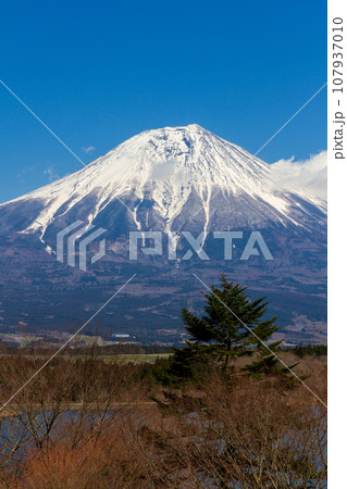 静岡県富士宮市佐折 田貫湖と周辺の風景 静岡県富士宮市佐折 田貫湖と周辺の風景 107937010
