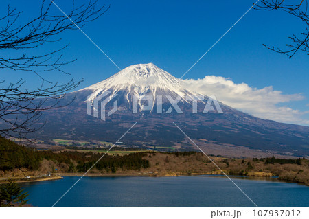 静岡県富士宮市佐折 田貫湖と周辺の風景 静岡県富士宮市佐折 田貫湖と周辺の風景 107937012