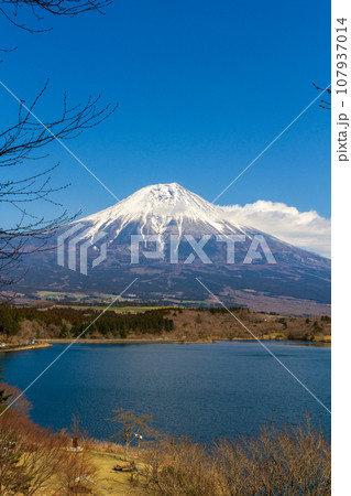 静岡県富士宮市佐折　田貫湖と周辺の風景 107937014