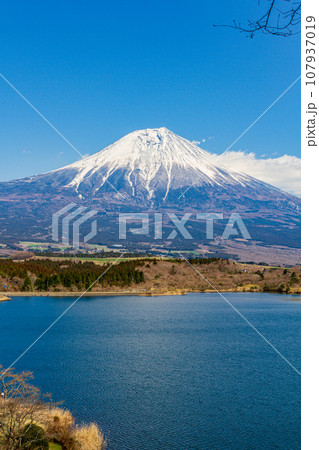 静岡県富士宮市佐折 田貫湖と周辺の風景 静岡県富士宮市佐折 田貫湖と周辺の風景 107937019