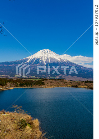 静岡県富士宮市佐折 田貫湖と周辺の風景 静岡県富士宮市佐折 田貫湖と周辺の風景 107937022